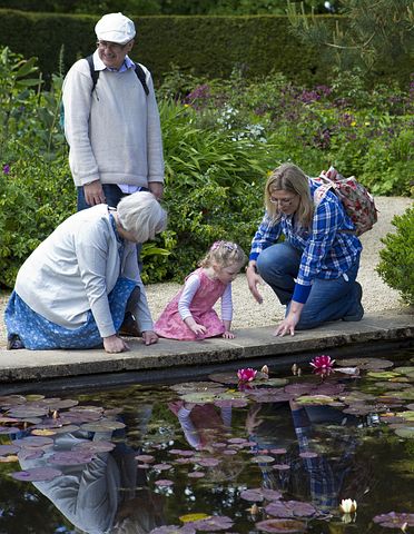 grands-parents, petits-fils